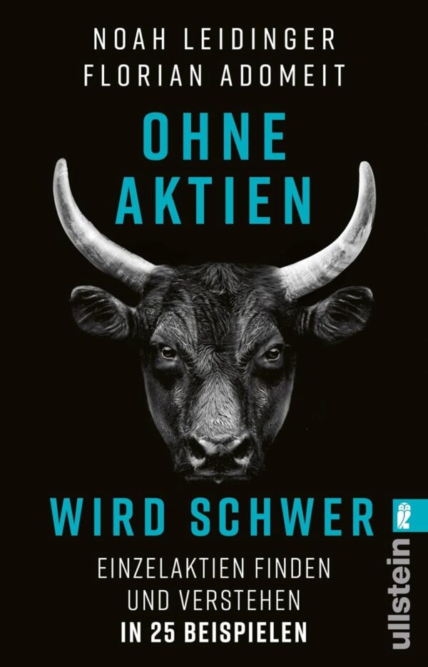 Buchcover Ohne Aktien Wird Schwer